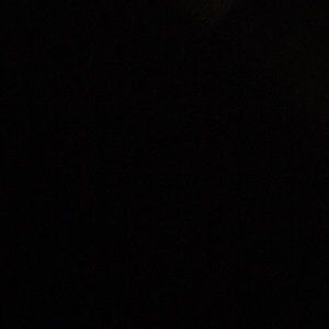 Meet your Posher, Wilson